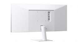 Монитор LG 29" 29U531A-W HDMI, DP, USB-C, MM, IPS, 2560:1080, 21:9, 100Hz, 1ms, sRGB 99%, HDR10
