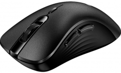 Мышь Genius Ergo 8100S, WL, Silent, черный 31030040400