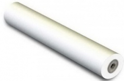 Бумага Xerox Inkjet Monochrome (80) 1067mmx50m 450L90107