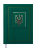 ЕжеДневник недатированный NATION, A5, зеленый Buromax BM.2006-04