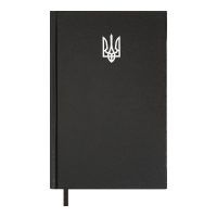 Дневник недатированный AIRY, A5, черный, бумвинил, 336 стр. Buromax BM.20731-01