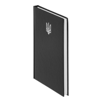 Дневник недатированный AIRY, A5, черный, бумвинил, 336 стр. Buromax BM.20731-01