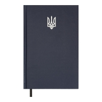 Дневник недатированный AIRY, A5, синий, бумвинил, 336 стр. Buromax BM.20731-02