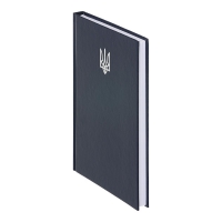Дневник недатированный AIRY, A5, синий, бумвинил, 336 стр. Buromax BM.20731-02