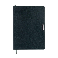 Дневник недатированный SALERNO, L2U, А4, зеленый, штуч.кожа, 336 стр. Buromax BM.20990-04