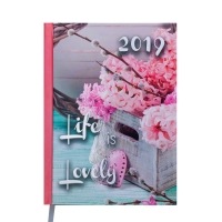 Щоденник датований 2019 ROMANTIC, A5, 336 арк., св.-рожевий Buromax