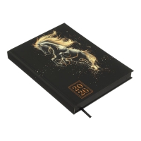Дневник датированный 2026 HEROES, A5, черный Buromax BM.2189-01