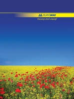 Книга обліку 96 арк/кліт.оф.(тв. лам. обл), А4 Buromax BM.2400