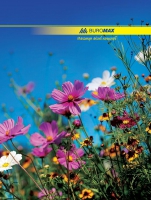 Книга обліку 96 арк/кліт.оф.(тв. лам. обл), А4 Buromax BM.2400