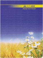 Книга канцелярська 96 арк лін.,оф.(тв. лам. обл), А4 Buromax BM.2401
