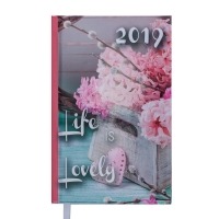 Щоденник датований 2019 ROMANTIC, A6, 336 арк., св.-рожевий Buromax