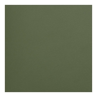 Щотижневик датований 2026 кишеньк. MORANDI STYLE , 85*153, зелений, штуч. шкіра Buromax BM.2897-04