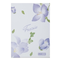 Папка-уголок А4, FREESIA ARABESKI, полупрозрачная, лиловая Buromax BM.3854-26