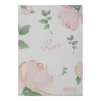 Папка-уголок А4, RAMIRA ARABESKI, полупрозрачная, коралловая Buromax BM.3854-27