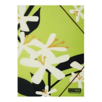 Папка А4 на гумках, PLUMERIA ARABESKI, напівпрозора, салатова Buromax BM.3908-15