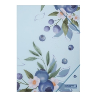Папка А4 на гумках, BLUEBERRY ARABESKI, напівпрозора, морська хвиля Buromax BM.3908-17