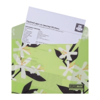 Папка-конверт А5 на кнопке, PLUMERIA ARABESKI, полупрозрачная, салатовая Buromax BM.3919-15