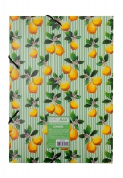 Папка на гумці, A4, LEMONS, ARABESKI, салатова Buromax BM.3958-15
