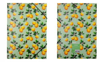 Папка на гумці, A4, LEMONS, ARABESKI, салатова Buromax BM.3958-15