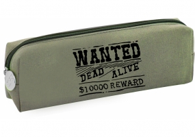 Пенал на 1 отделение Wanted COOLFORSCHOOL CF85944-03