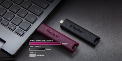 Накопичувач Kingston  256GB USB 3.2 Type-A Gen 2 DT Max DTMAXA/256GB