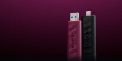 Накопичувач Kingston  256GB USB 3.2 Type-A Gen 2 DT Max DTMAXA/256GB