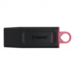 Накопичувач Kingston  256GB USB 3.2 Type-A Gen1 DT Exodia DTX/256GB