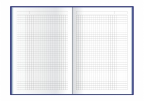 Щоденник недатований, CROSS, А5, клітинка, помаранчовий ECONOMIX E22006-06
