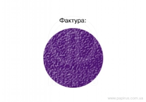 Папка-швидкозшивач А4 Economix з перфорацією, фактура "помаранч", фіолетова E31508-12