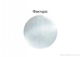 Папка-швидкозшивач А4 Economix без перфорації, фактура "глянець", сіра E31511-10
