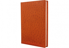 Щоденник недатований, OCTRICH, А5, кремовий блок, клітинка, коричневий OPTIMA O25473-07