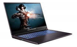 Ноутбук Dream Machines RG2050-17 17.3FHD IPS, Intel i7-13620H, 32GB, F1TB, NVD2050-4, DOS, черный RG2050-17UA26