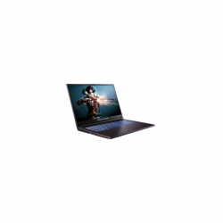 Ноутбук Dream Machines RG2050-17 17.3FHD IPS, Intel i5-12450H, 16GB, F1TB, NVD2050-4, DOS, чорний RG2050-17UA31