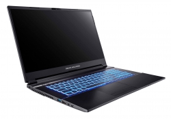 Ноутбук Dream Machines RG3050Ti-17 17.3FHD IPS, Intel i7-12700H, 16GB, F500GB, NVD3050Ti-4, DOS, черный RG3050TI-17UA35