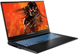 Ноутбук Dream Machines RG4050-17 17.3FHD IPS, Intel i7-14650HX, 16GB, F1TB, NVD4050-6, DOS, черный RG4050-17UA37