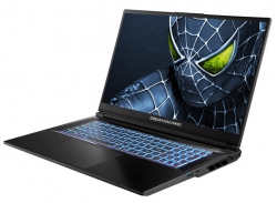 Ноутбук Dream Machines RG5050-17 17.3FHD IPS, Intel i7-14650HX, 32GB, F2TB, NVD5050-8, DOS, чорний RG5050-17UA22