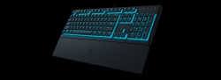 Клавіатура Razer Ornata V3 X RGB 104key USB RU Black RZ03-04470800-R3R1