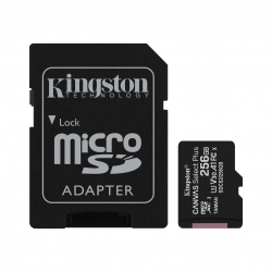 Карта пам'яті Kingston microSD  256GB C10 UHS-I R100/W85MB/s + SD SDCS2/256GB