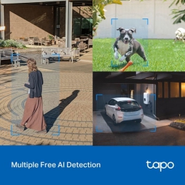 Камера відеоспостереження TP-Link TAPO-C520WS