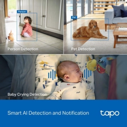Камера видеонаблюдения TP-Link TAPO-C260