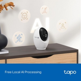 Камера видеонаблюдения TP-Link TAPO-C260