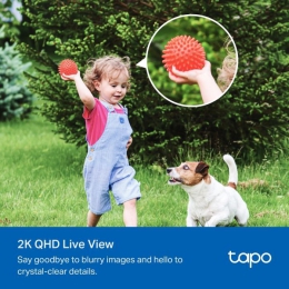 Камера відеоспостереження TP-Link TAPO-C425-KIT (TAPO-C425KIT)