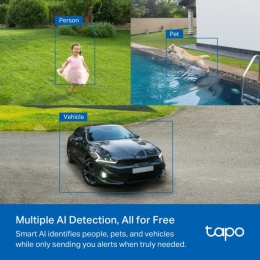 Камера відеоспостереження TP-Link TAPO-C425-KIT (TAPO-C425KIT)