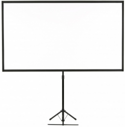 Экран Epson ELPSC21 V12H002S21