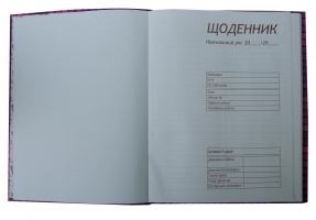 Щоденник шкільний SUPER POWER, A5+, 40 арк., інтегральна обкліт., мат. ламінація, KIDS Line ZiBi ZB.13910