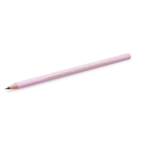 ОЛІВЕЦЬ ЕКОЛЮШЕН ПАСТ ГУМ Б12 BIC bc518980