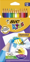 Карандаши цветные "Evolution Aquacouleur", 12 шт BIC bc8575614