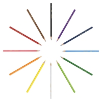 Карандаши цветные "Evolution Aquacouleur", 12 шт BIC bc8575614