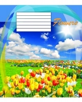 Зошит 12 арк. (клітинка), 2507к Мрії збуваються