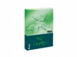 Папір Copy Rex (80) A4, 500л.